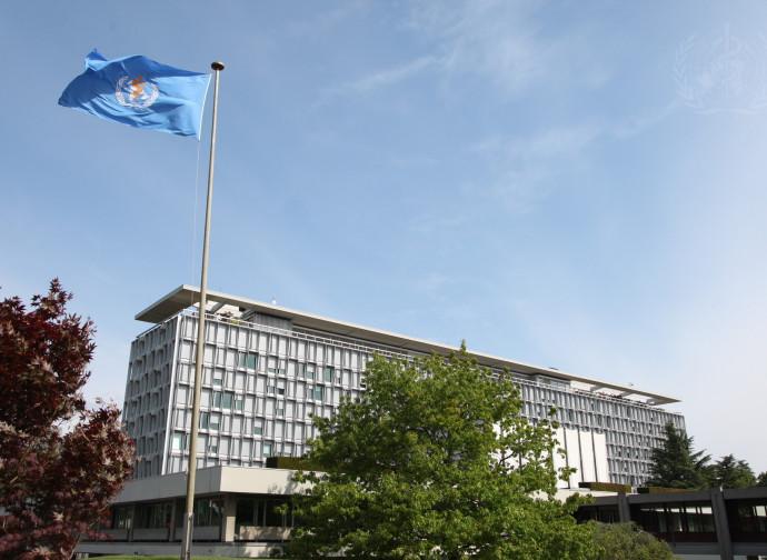 To the life of life secret