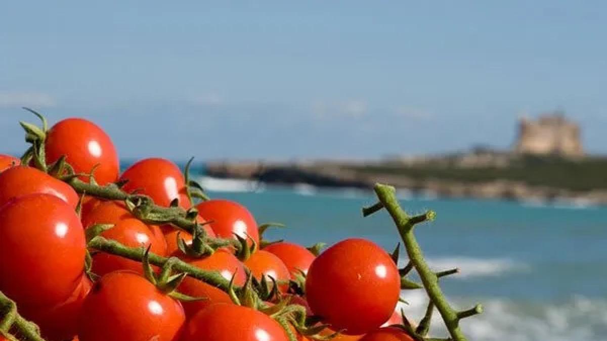 Salmonella in Sicilian cherry tomatoes confirms EU hypothesis: three years of cases and investigations in 17 countries |