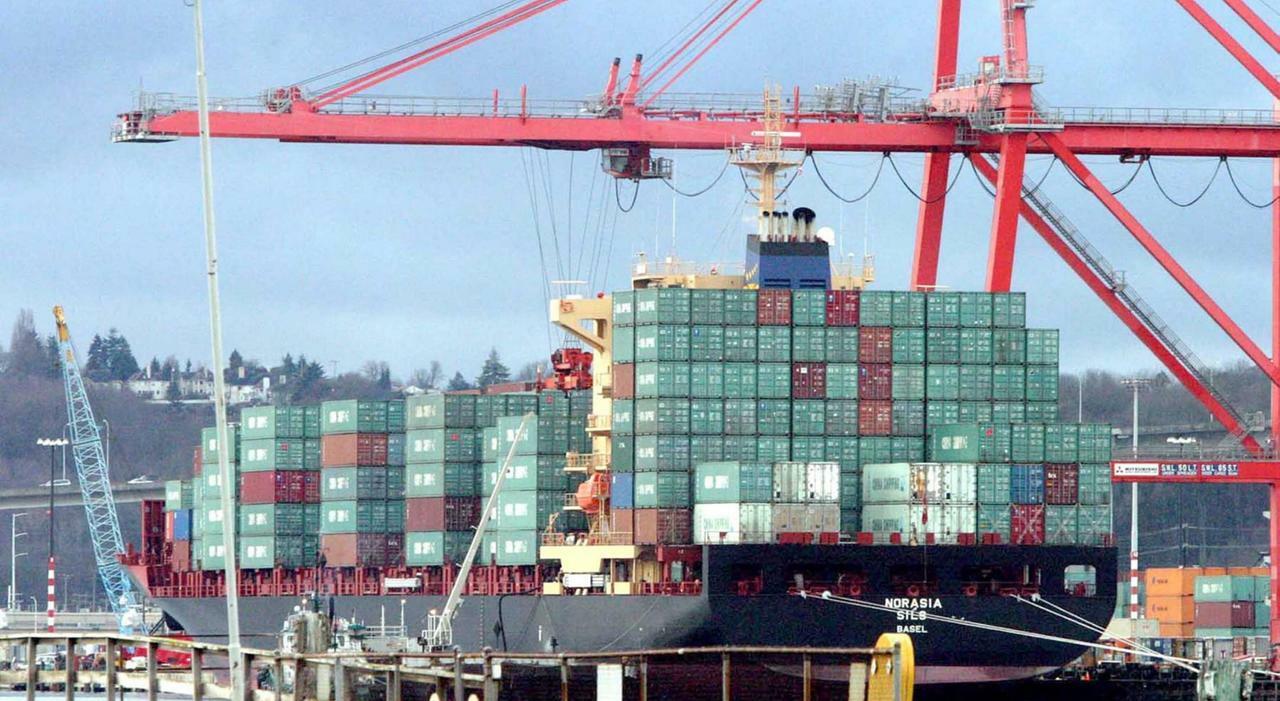 Le esportazioni, infatti, continuano a crescere.rivendita negli Stati Uniti