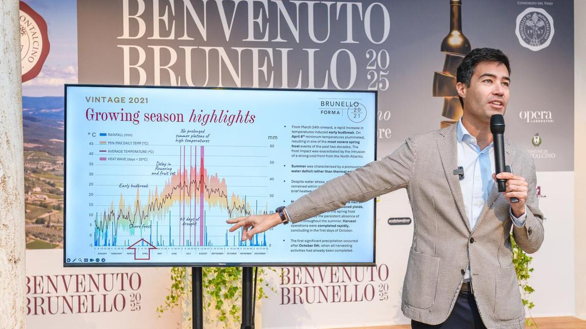Il Brunello crea ricchezza, fa crescere produzione e turismo