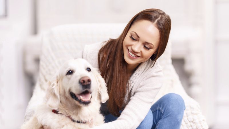Therapies and Natural Remedies for Pets