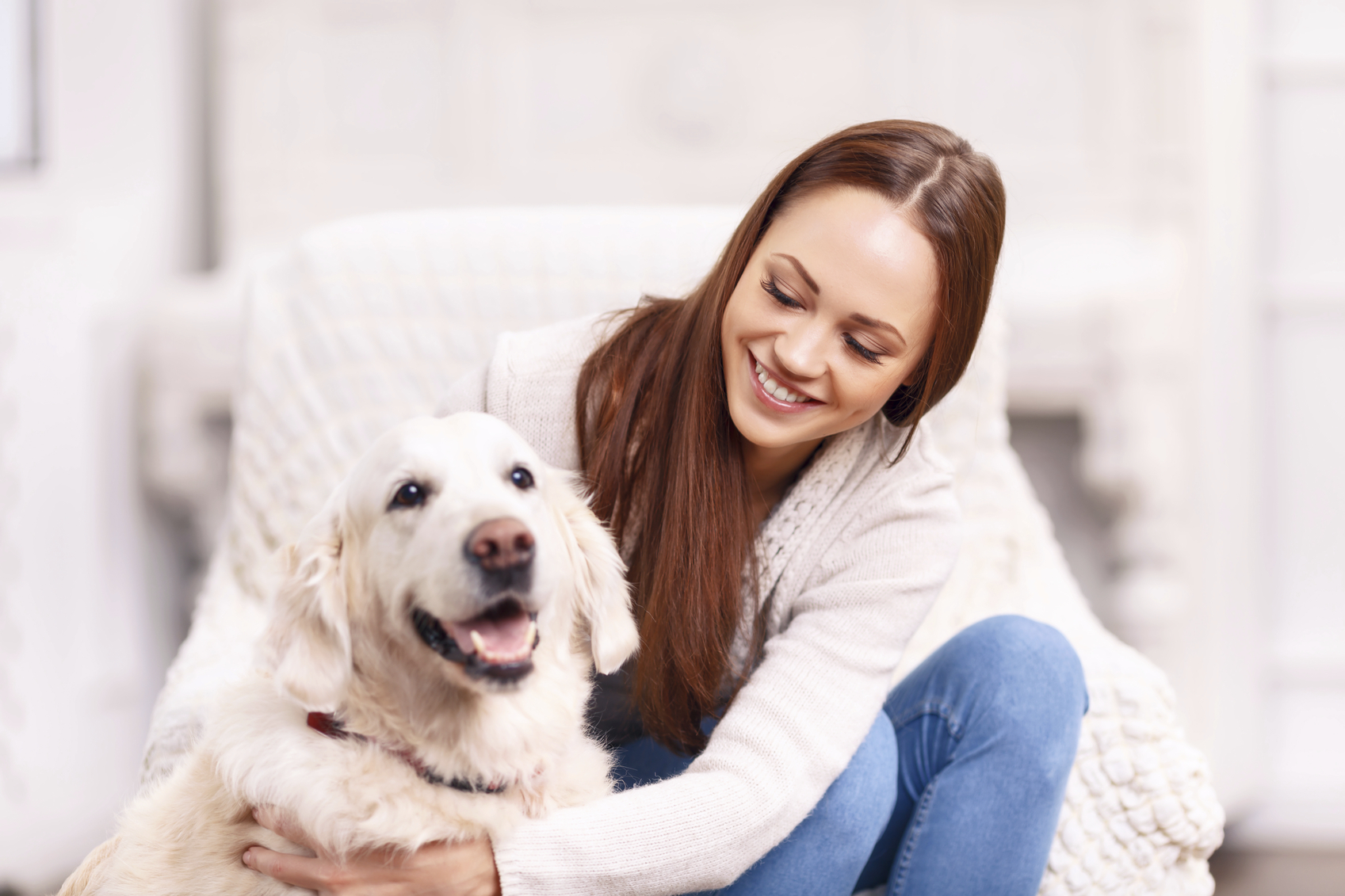 Adottare terapie alternative e rimedi naturali per gli animali domestici nella cura olistica degli animali domestici 